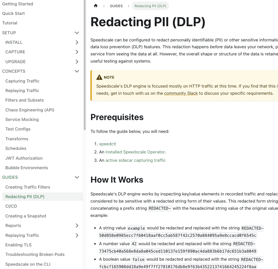 DLP Configuration in Speedscale